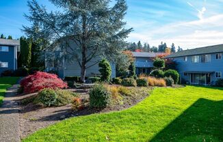 1 Month Rent Free!  Newly Renovated Apartments with Washer Dryers and Covered Parking