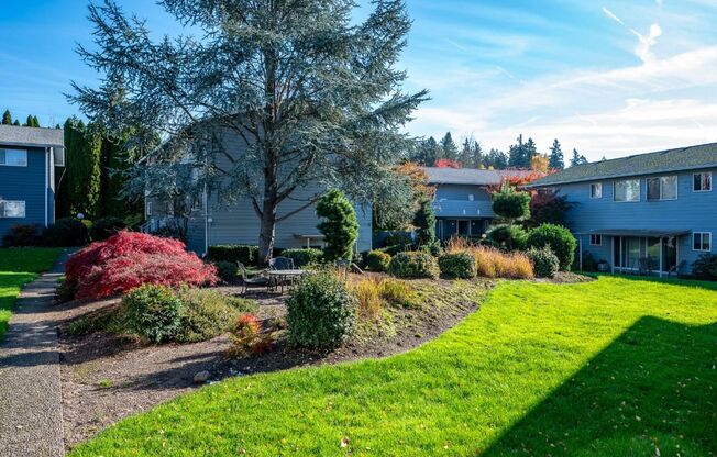 Ivy Terrace Apartments