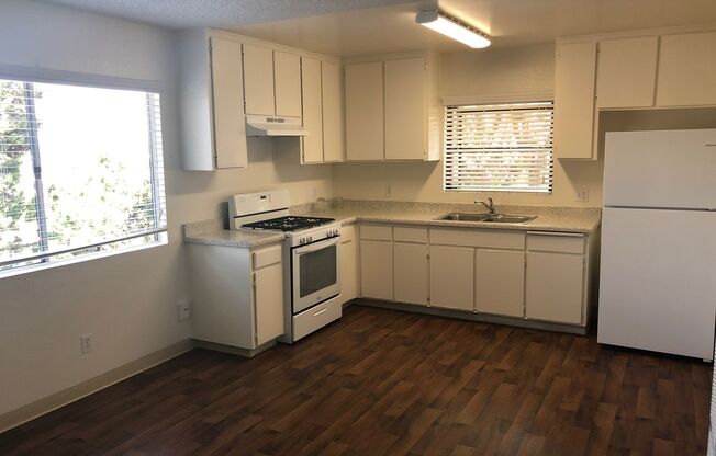 1 bed, 1 bath, 500 sqft, $1,600