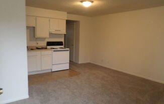 1 bed, 1 bath, $550, Unit Eleventh 728 W. #F