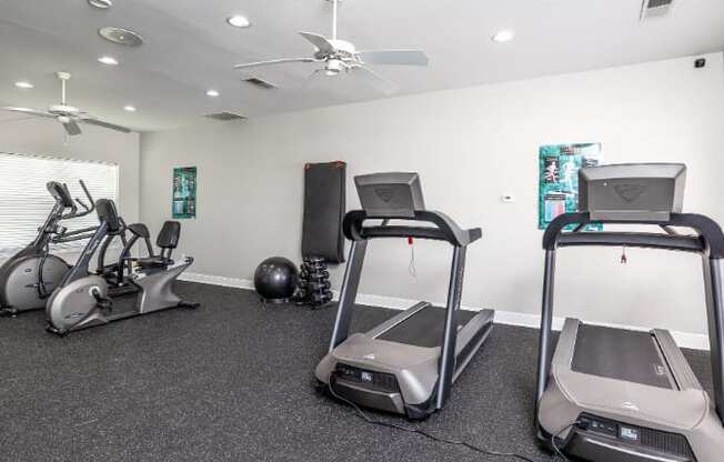 A gym with treadmills, elliptical machines, and weights.