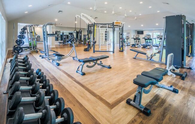 the gym is fully equipped with weights and cardio equipment
