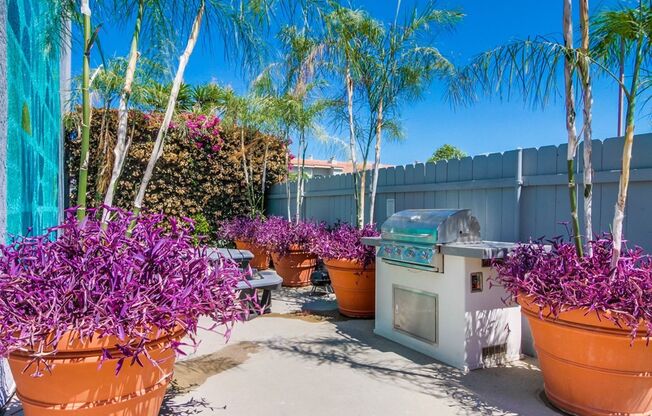 1 bed, 1 bath, 550 sqft, $1,950, Unit 209