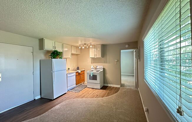 Boutique Apartments in Boulevard Park, Includes Gated, Covered Parking!