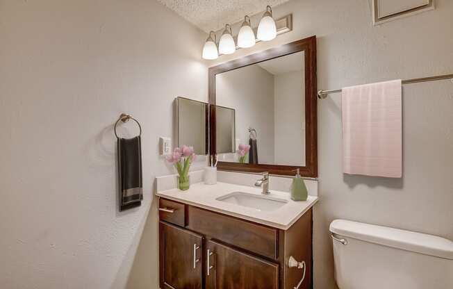 a bathroom with a toilet sink and mirror