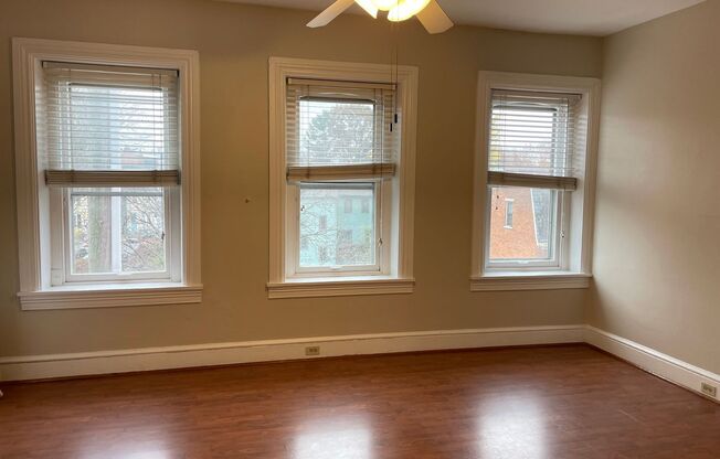 1 bed, 1 bath, $1,050, Unit 145 E. Vine St. Apt. 4