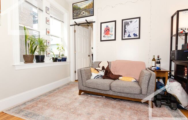 Amazing one bed in Allston.....