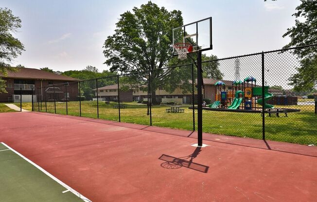 Basketball Court
