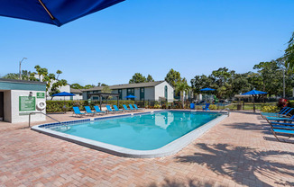 Community swimming pool at Oasis at Bayside in Largo, FL.