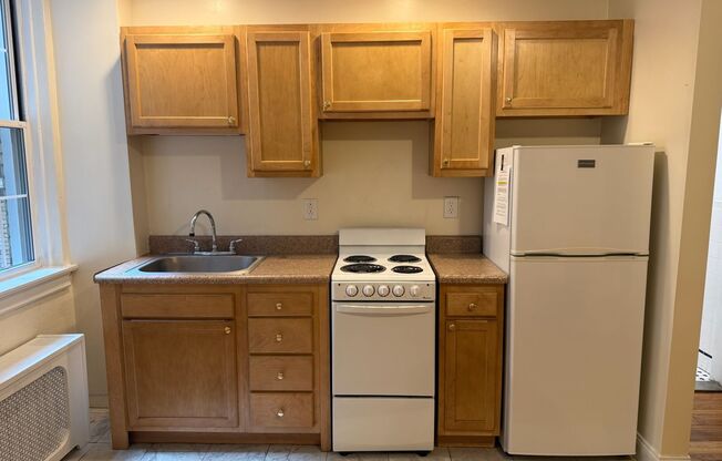 Studio, 1 bath, 294 sqft, $1,225, Unit New King Edward 210