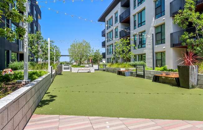 a large grassy area with apartment buildings and strings of lights