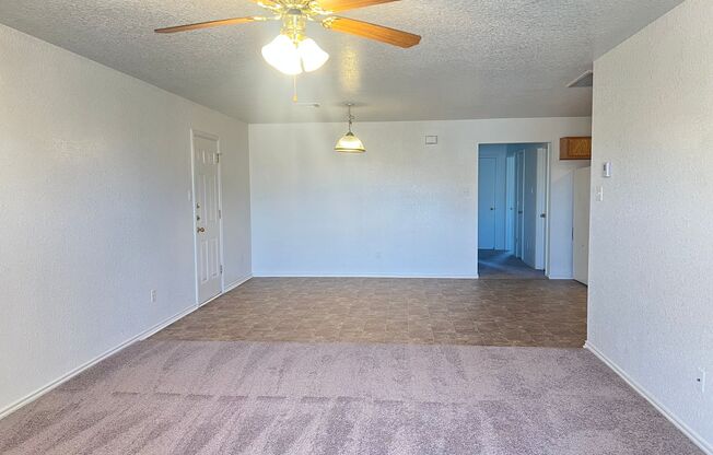 2806 Alma Dr.