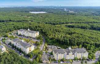 A bird's eye view of a resort surrounded by trees.