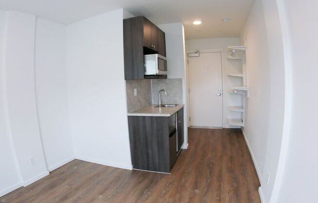 Studio, 1 bath, 186 sqft, $1,195, Unit 509