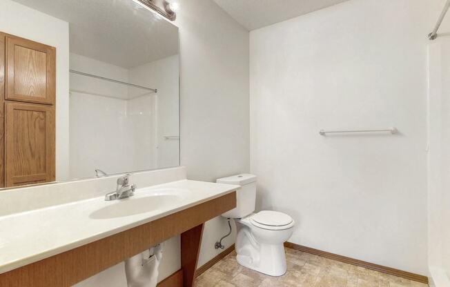 a bathroom with a sink and a toilet and a mirror