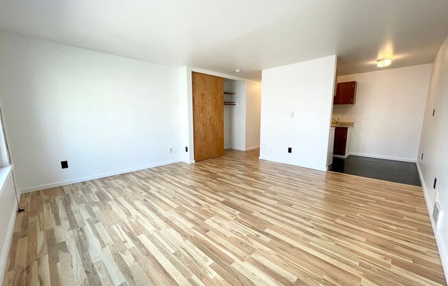 Studio, 1 bath, 464 sqft, $1,450, Unit 207