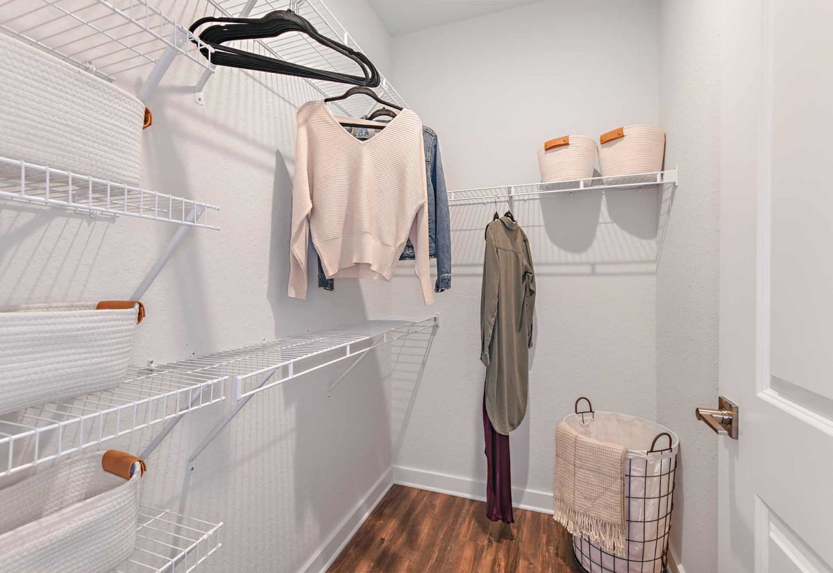 Brand-New Luxury Apartments in Tampa, Florida