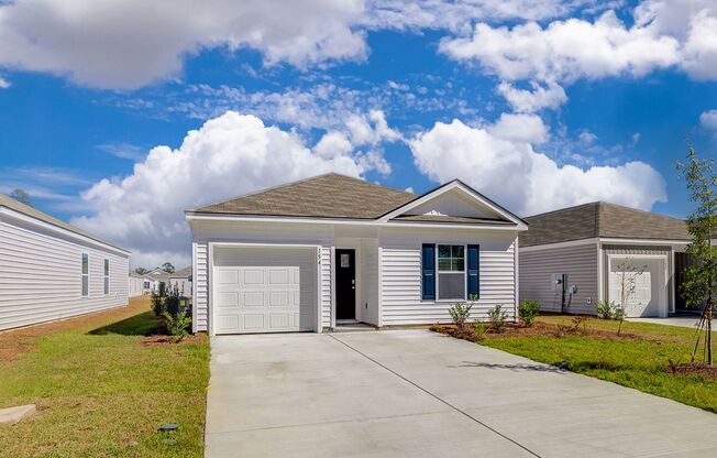 New Construction- 4 bedroom! Experience the Best of Rice Hope Living in Port Wentworth!