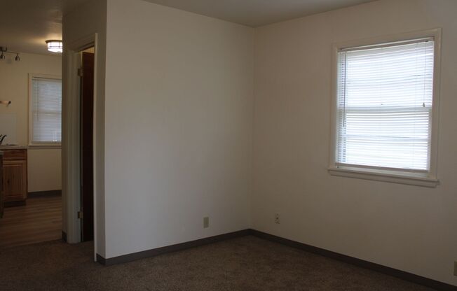 Studio, 1 bath, 280 sqft, $1,050, Unit 3