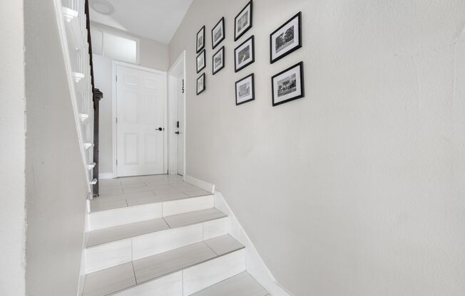 Renovated Davis Islands Apartments