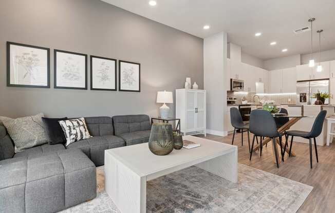 Arazo apartment interior with wood-style flooring and high ceilings