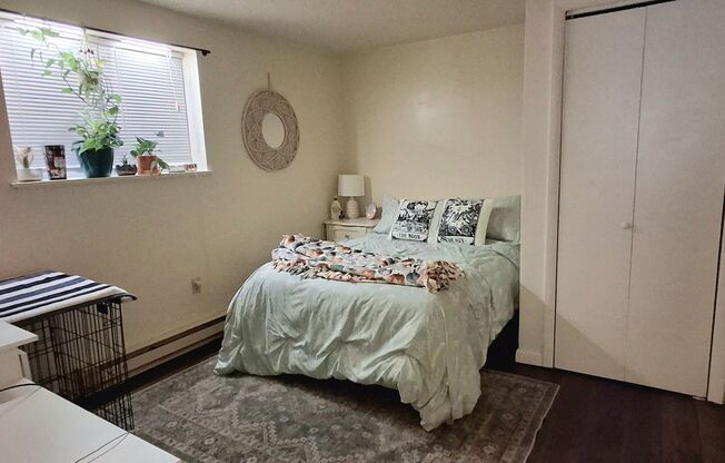 1 bed, 1 bath, $895, Unit Apt 1