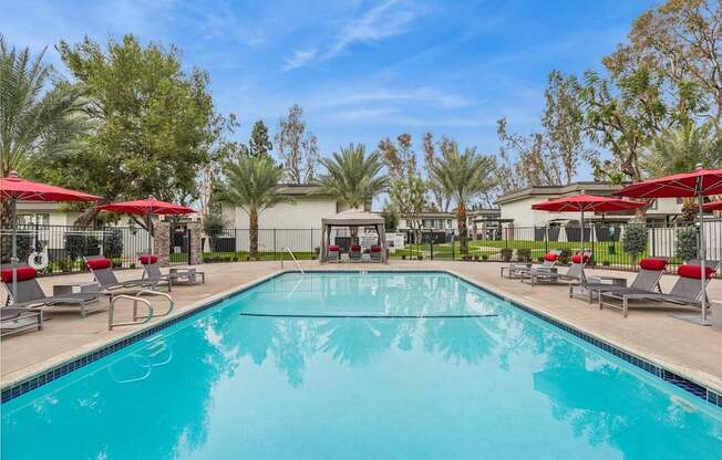 A large swimming pool surrounded by lounge chairs and umbrellas.