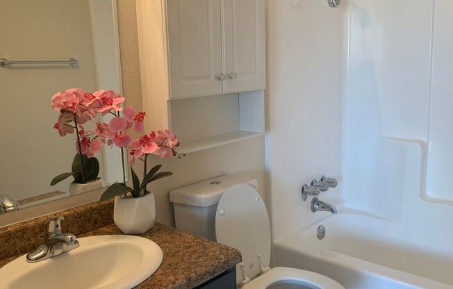 1 bed, 1 bath, 620 sqft, $1,300, Unit 3240 N