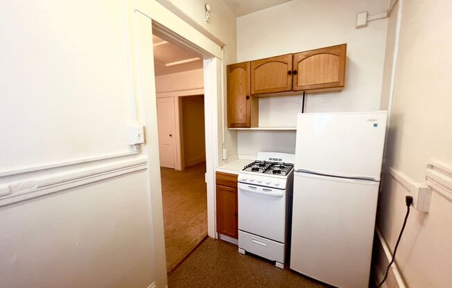 1 bed, 1 bath, 517 sqft, $1,399, Unit 203