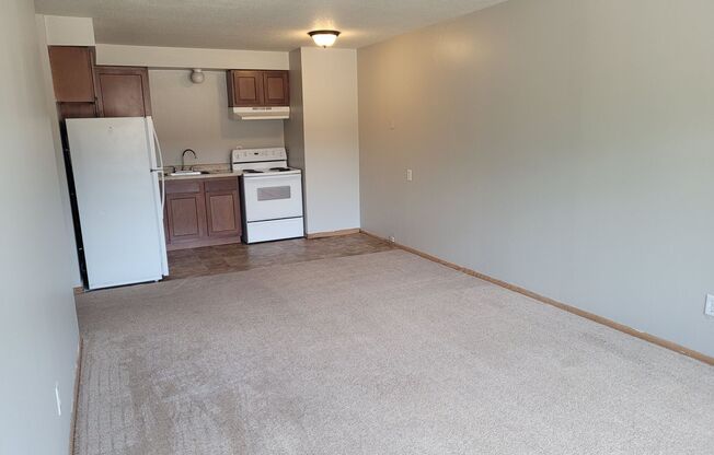 Aldrich Apartments | Near I-94 & Theodore Wirth