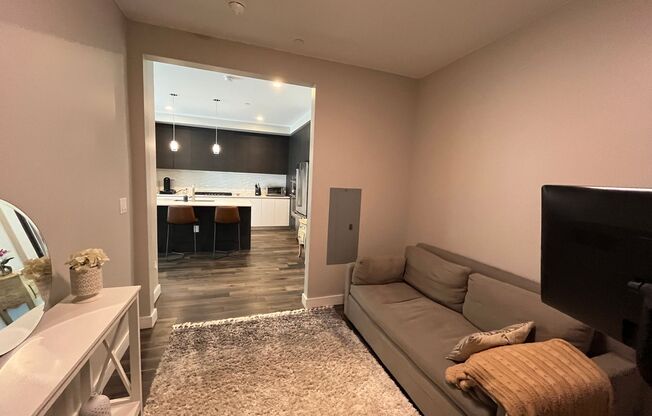 1 bed, 1 bath, $3,100