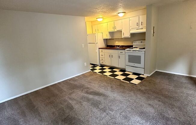 1 bed, 1 bath, $1,250, Unit 205