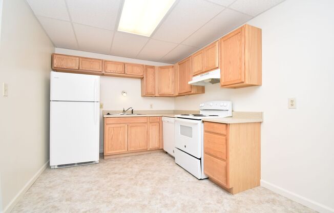 Pet Friendly! Garden Level 2 Bedroom in a Great Central Location! Close to Downtown and MSU!