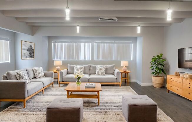 1 bed, 1 bath, 566 sqft, $1,148, Unit 113