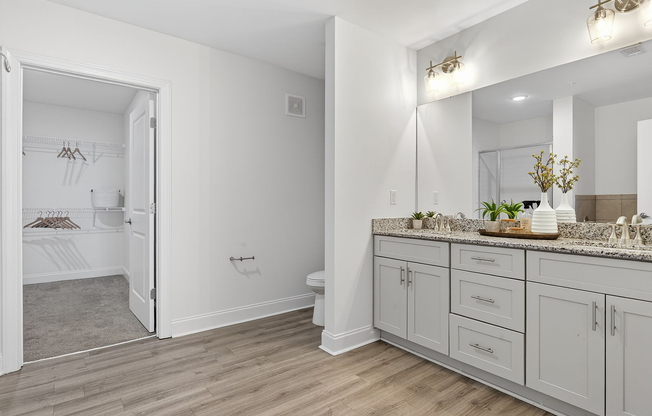 Spacious Bathroom and Walk In Closet
