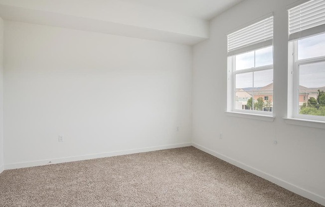 a bedroom with two windows and a carpeted floor