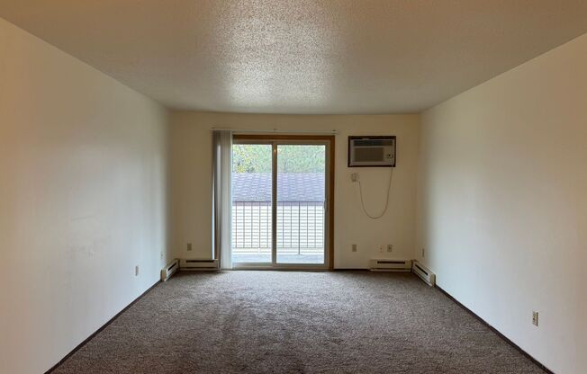 2 beds, 1 bath, 910 sqft, $770, Unit 206