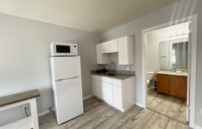 Spacious Studio/Garage Apartment in the Desirable Avalon Park Community - Orlando!