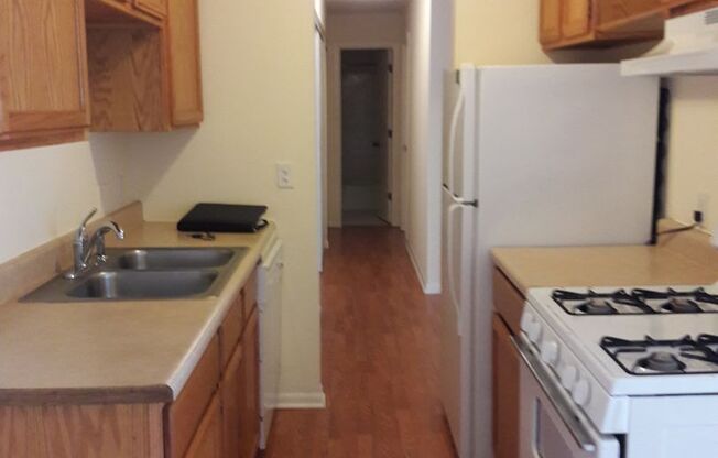 1 bed, 1 bath, 650 sqft, $1,100