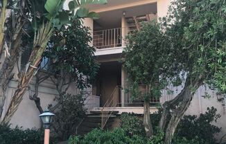 252 Acton