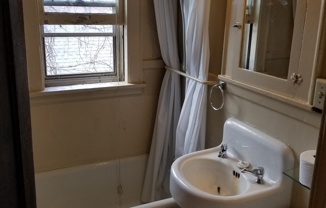 1 bed, 1 bath, 564 sqft, $1,019, Unit 209