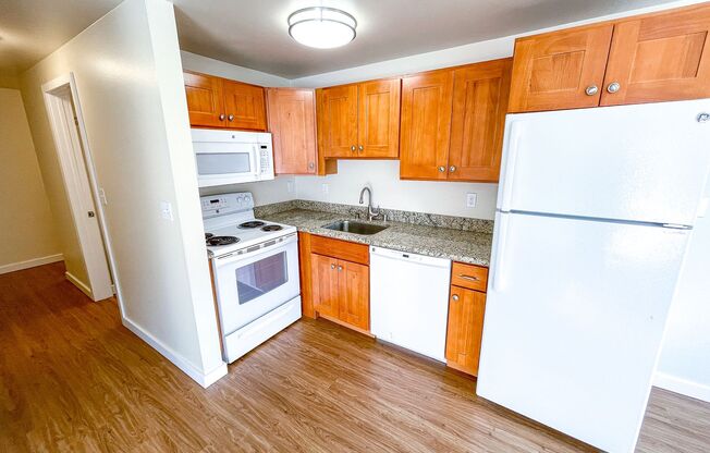 1 bed, 1 bath, 495 sqft, $1,495, Unit 302