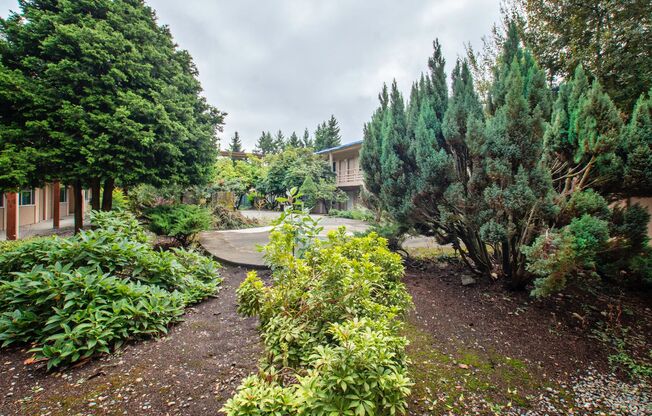 1 bed, 1 bath, 550 sqft, $1,295, Unit 37