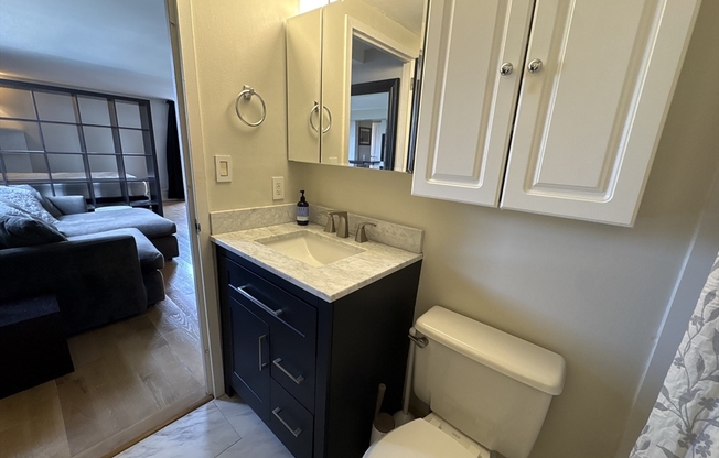 1 bed, 1 bath, 505 sqft, $2,700, Unit 1501