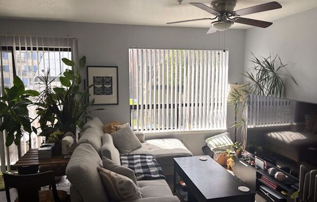 1 bed, 1 bath, 475 sqft, $1,850, Unit 204
