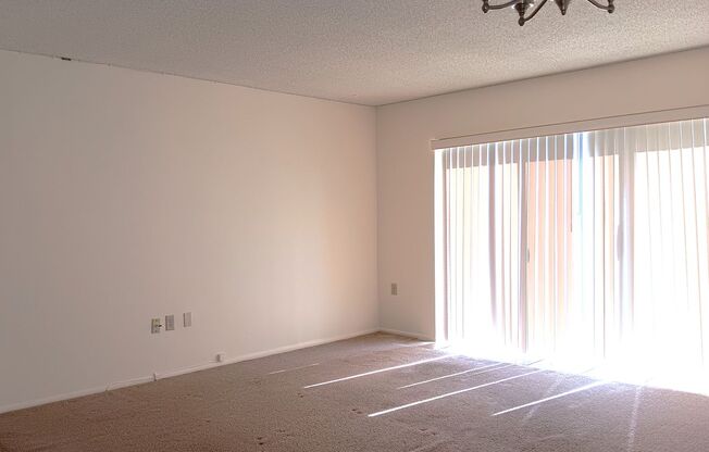 Spacious 2/2 apt, pristine bldg, near 4th St services, shopping & downtown