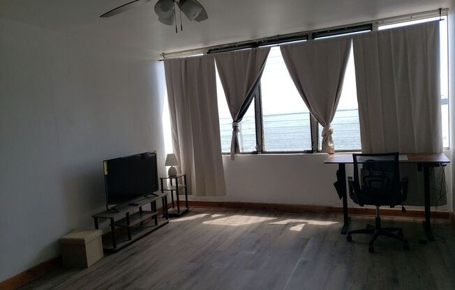 1 bd. 1 ba. Harbor Lights Unit - Partly Furnished with Ocean view