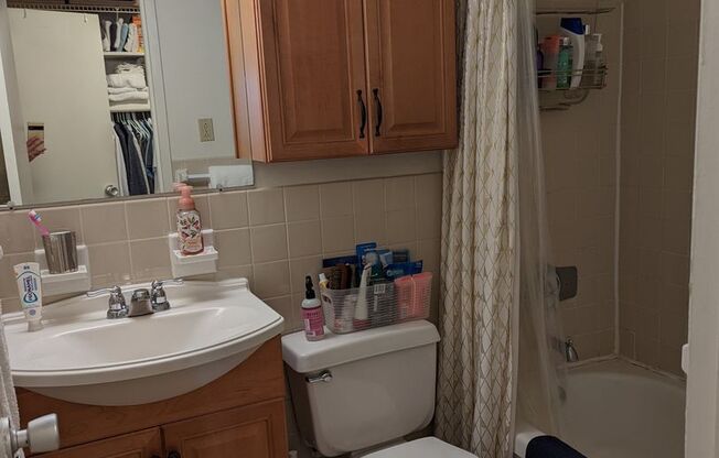 Studio, 1 bath, 431 sqft, $2,600, Unit 1503