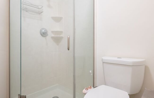 2 beds, 2 baths, $3,500, Unit APARTMENT 533