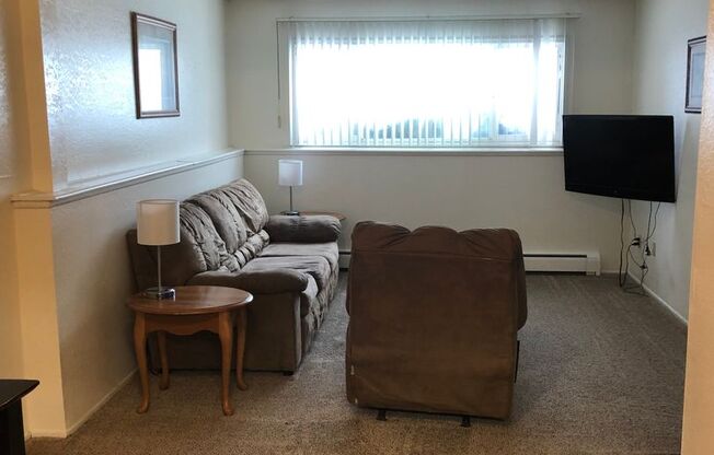 1 bed, 1 bath, 695 sqft, $950, Unit 206